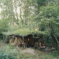 Off-Grid Living for Beginners
