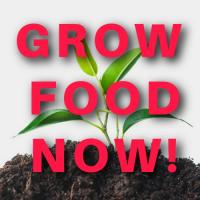 Victory Gardens Revival