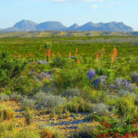 Terlingua Heaven or Hell