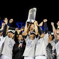 New York Yankees Fans