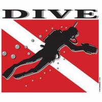 Scuba Divers Anonymous
