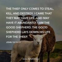 Shepherd's Flock