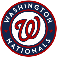 Washington Nationals Fan Group