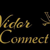 Vidor Connect