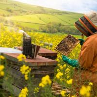 Rocky Mountain Beekeepers