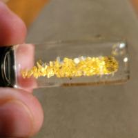 AMERICAN GOLD HOUNDS