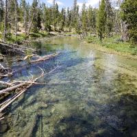 IDAHO FISHING FRENZY