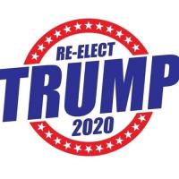 Trump 2020 and beyond