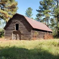 DEADMANZ TOURS