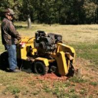 Henderson Stump Grinding