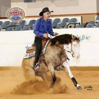 LIGGETT TRAINING STABLE