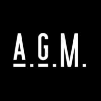 A.G.M. Auto Glass