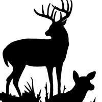 Michigan Deer Hunters
