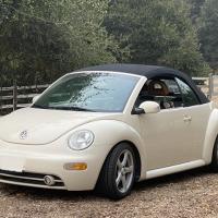 VW New Beetle