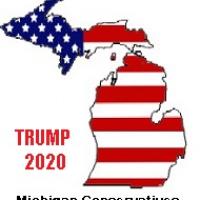 Michigan Patriots