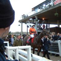 UK Horse Racing Info