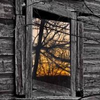 I'm Proud to be an Okie