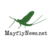 Mayflies of Lake Erie - Official Site