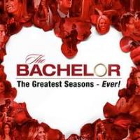 The Bachelor The Greatest Seasons - Ever On ABC Network