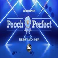 Pooch Perfect On ABC Network