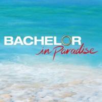 Bachelor in Paradise On ABC Network