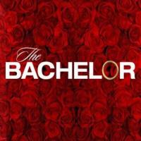 The Bachelor On ABC Network