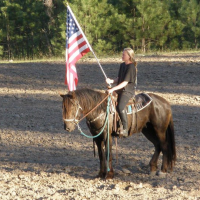 Rescue Horse Alliance