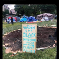 Soymalia