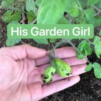 His Garden Girl