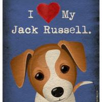 ♡☆Jack Russell Lover's☆♡