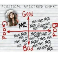 Real Political Spectrum