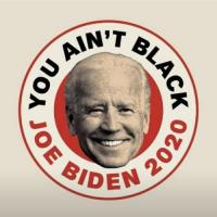 Biden Pleads the 25th