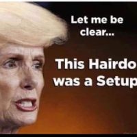 Pelosi's Hair