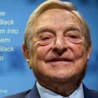 Soros Riot