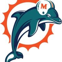 Miami Dolphin Fans