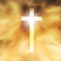 Daily Berean Today