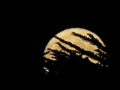 3A55553D-182F-43FC-92BA-A0648F9D8B2A