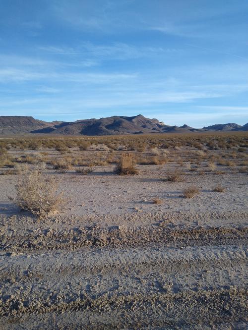 IMG_20200117_155853482