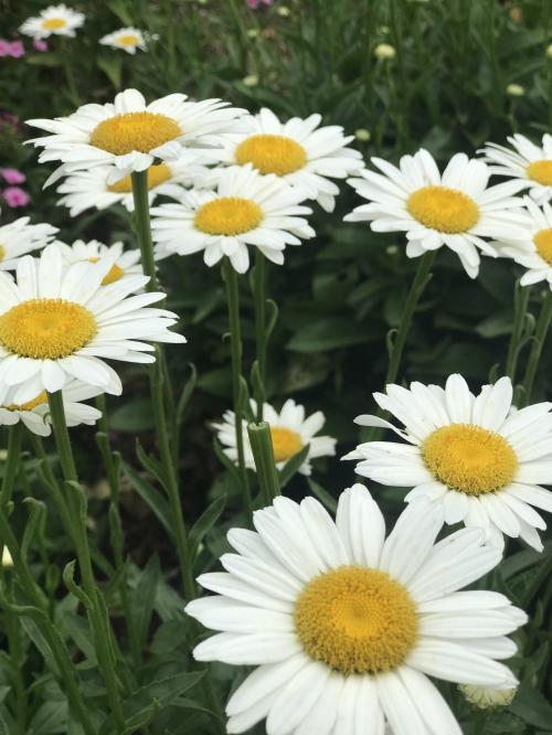 964026F4-ABC8-48E3-9165-46A82BE0AE11