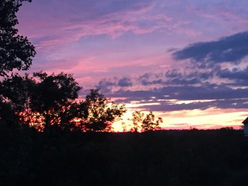 4E6DA8F9-A20A-44BE-9C48-E7F9E67370EC