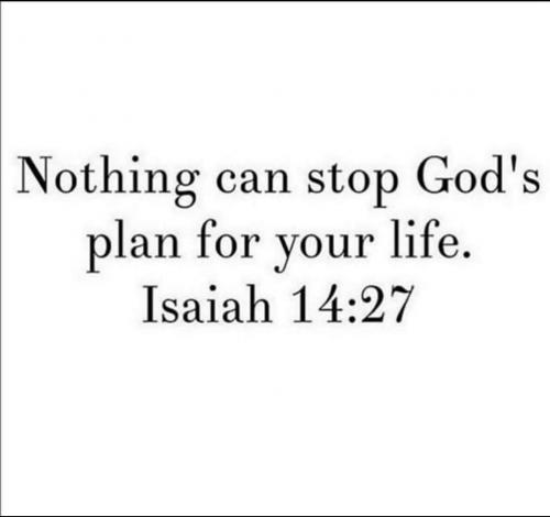 FB_IMG_1600036416939