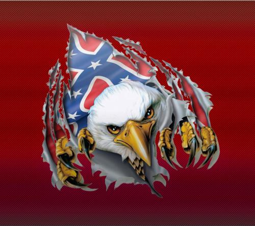 Eagle-wallpaper-9789116