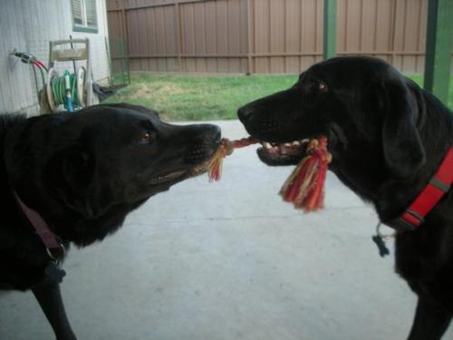 304908_10151216513035348_1128384128_n