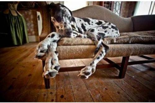 Screenshot_20200910-164302_Facebook