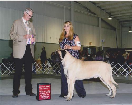 FB_IMG_1575580417637