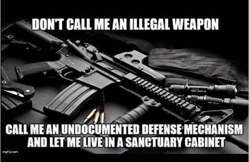 undocumented-defense-mechanism-sanctuary-cabinet