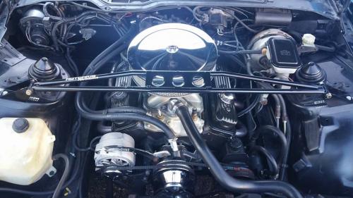 13615094_10206710341502082_6473608374533293135_n