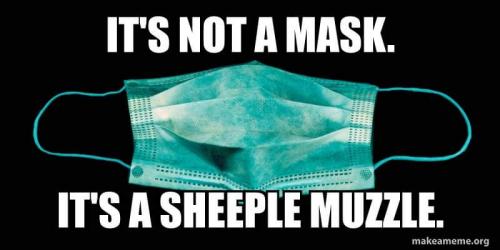 FB_IMG_1599759212641