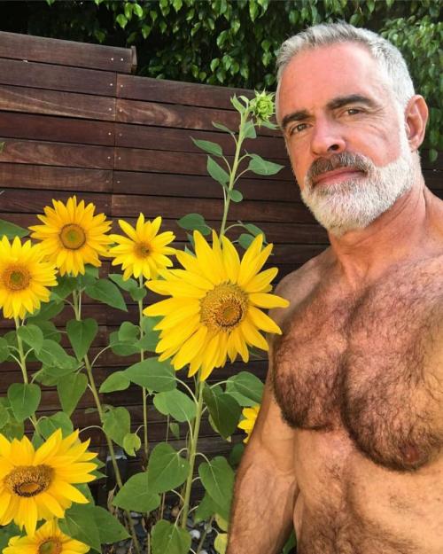 8c0f4f1c-b405-4d09-afbd-7d4bf0562259