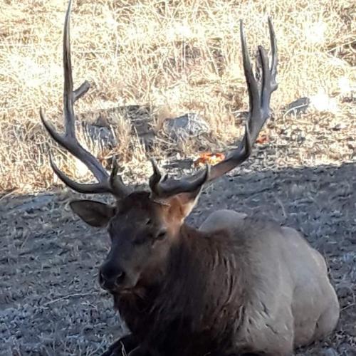 IMG_20191128_135709_879